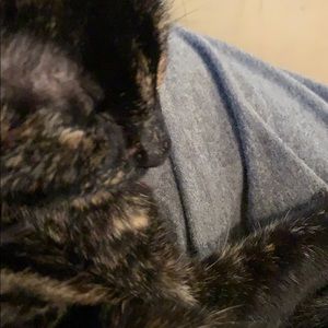 Meet your Posher, Sharon